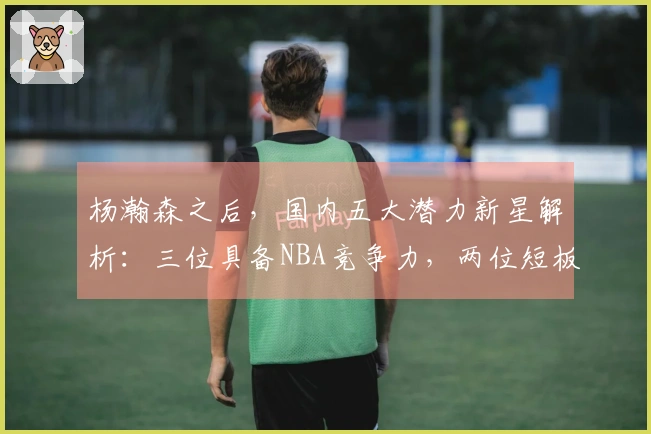 杨瀚森之后，国内五大潜力新星解析：三位具备NBA竞争力，两位短板明显